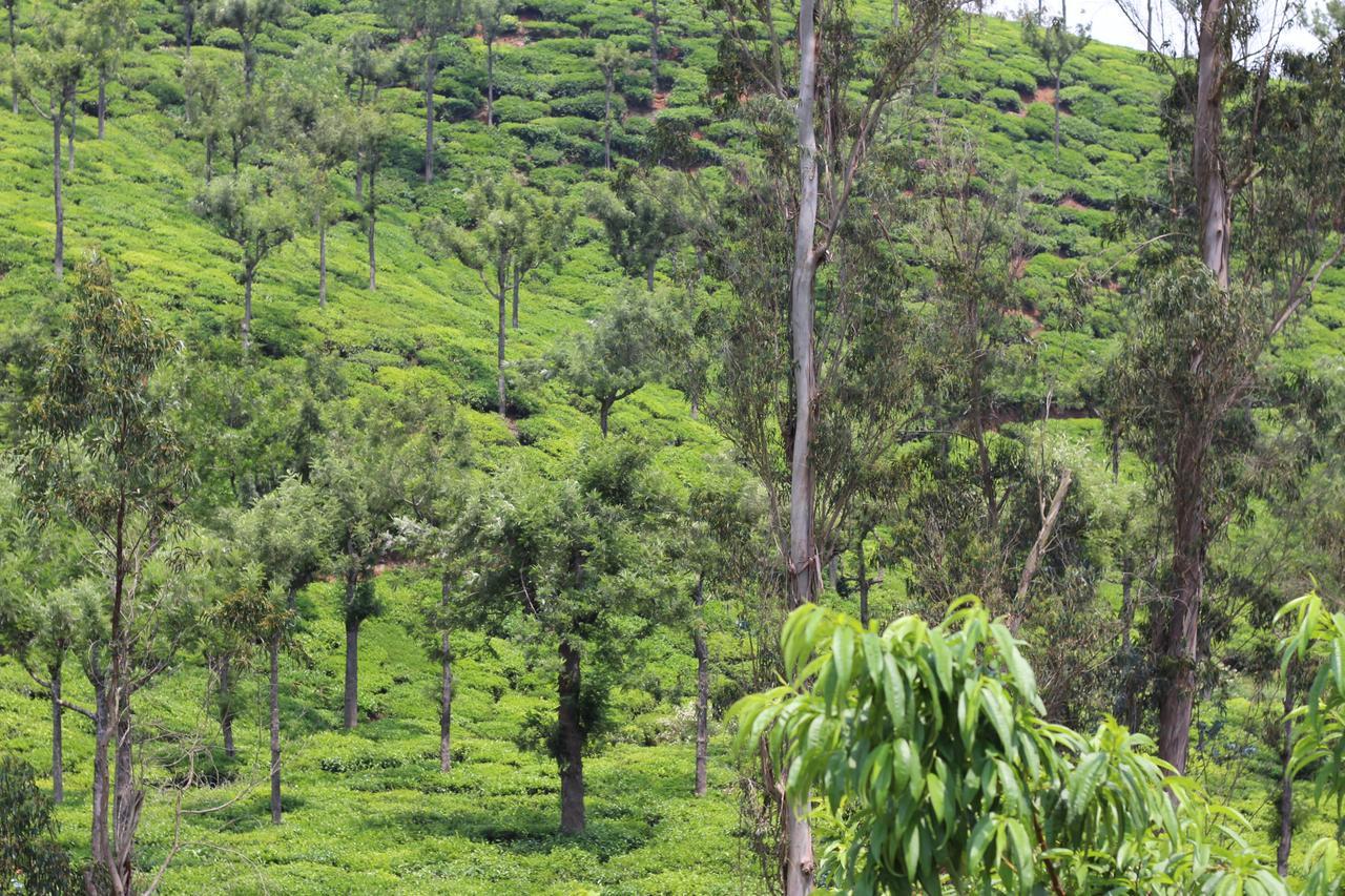 Rustling River Resort Ooty Bagian luar foto