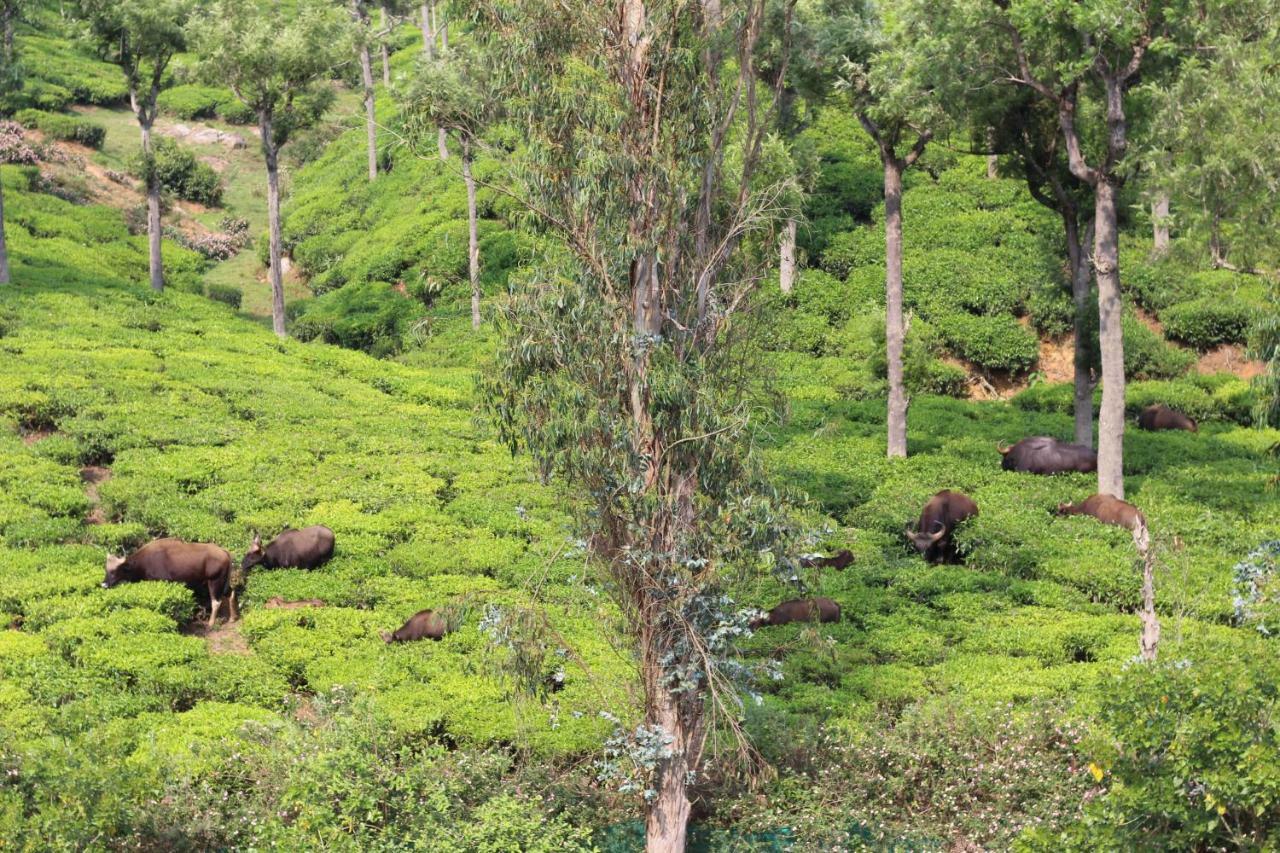 Rustling River Resort Ooty Bagian luar foto
